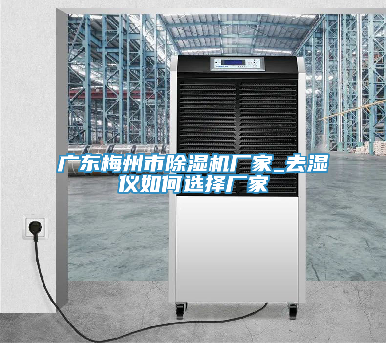 廣東梅州市除濕機廠(chǎng)家_去濕儀如何選擇廠(chǎng)家