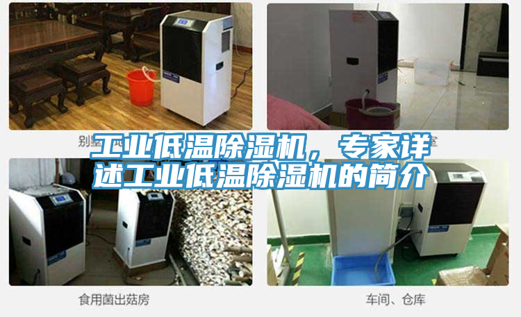 工業(yè)低溫除濕機，專(zhuān)家詳述工業(yè)低溫除濕機的簡(jiǎn)介