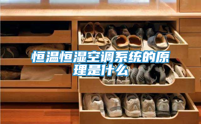 恒溫恒濕空調系統的原理是什么