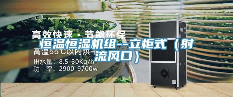 恒溫恒濕機組--立柜式（射流風(fēng)口）