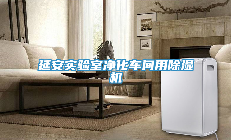 延安實(shí)驗室凈化車(chē)間用除濕機