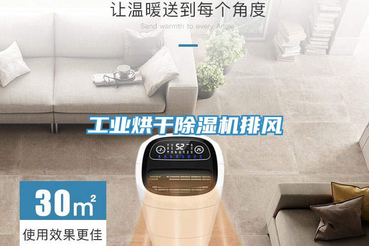 工業(yè)烘干除濕機排風(fēng)
