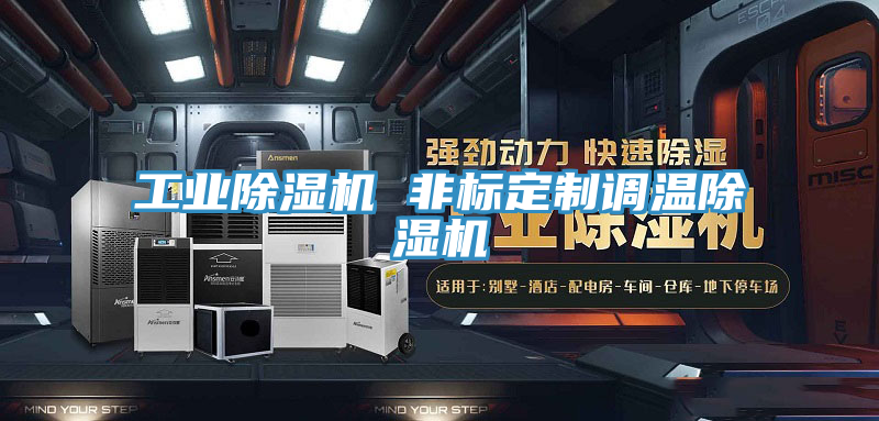 工業(yè)除濕機 非標定制調溫除濕機