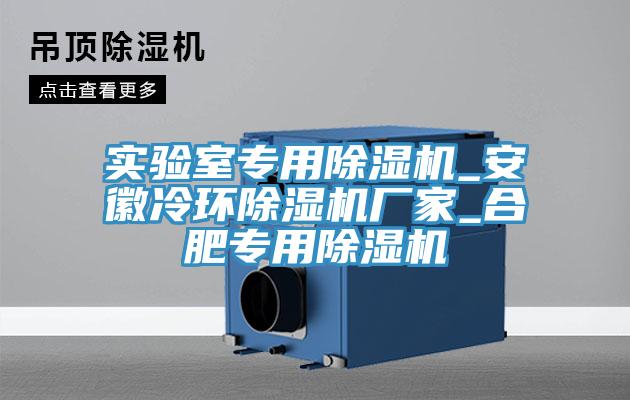 實(shí)驗室專(zhuān)用除濕機_安徽冷環(huán)除濕機廠(chǎng)家_合肥專(zhuān)用除濕機