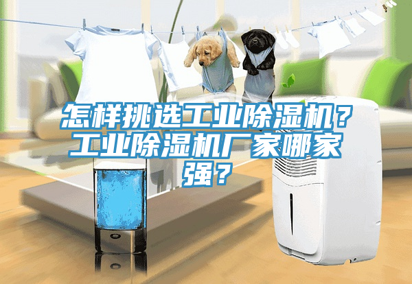 怎樣挑選工業(yè)除濕機？工業(yè)除濕機廠(chǎng)家哪家強？