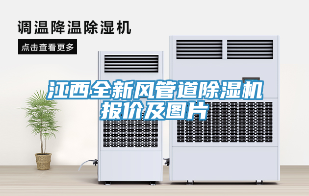 江西全新風(fēng)管道除濕機報價(jià)及圖片