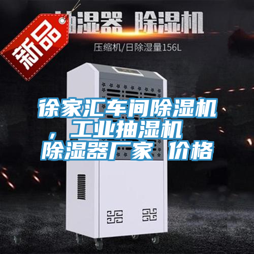 徐家匯車(chē)間除濕機，工業(yè)抽濕機  除濕器廠(chǎng)家 價(jià)格