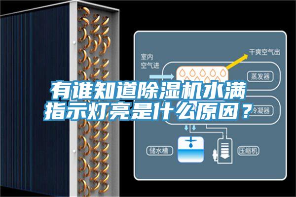 有誰(shuí)知道除濕機水滿(mǎn)指示燈亮是什么原因？