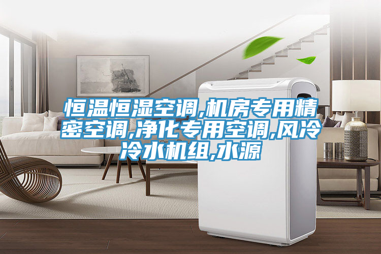 恒溫恒濕空調,機房專(zhuān)用精密空調,凈化專(zhuān)用空調,風(fēng)冷冷水機組,水源
