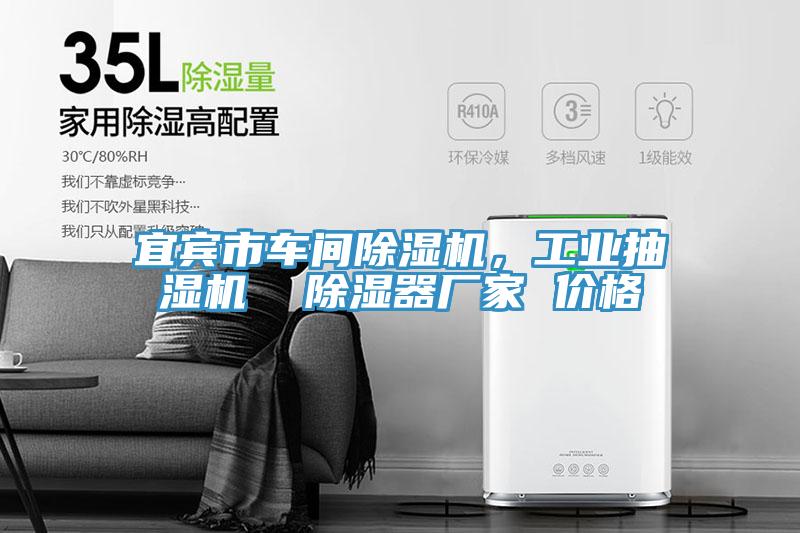 宜賓市車(chē)間除濕機，工業(yè)抽濕機  除濕器廠(chǎng)家 價(jià)格