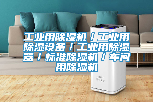 工業(yè)用除濕機／工業(yè)用除濕設備／工業(yè)用除濕器／標準除濕機／車(chē)間用除濕機