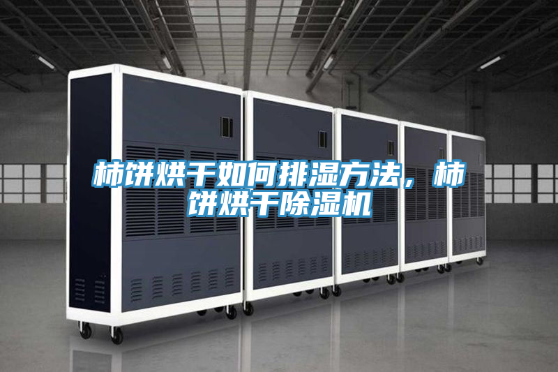 柿餅烘干如何排濕方法，柿餅烘干除濕機