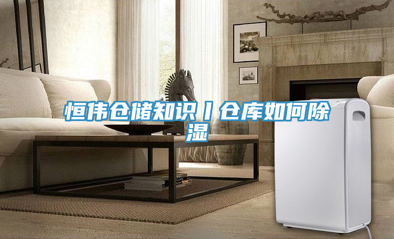 恒偉倉儲知識丨倉庫如何除濕
