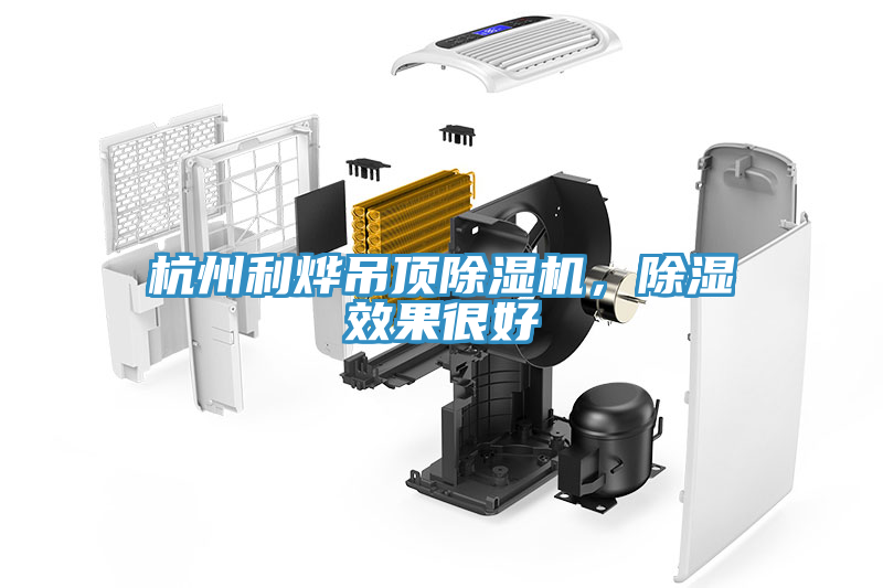 杭州利燁吊頂除濕機，除濕效果很好