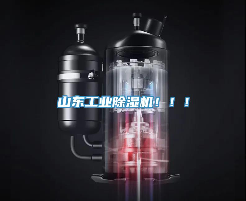 山東工業(yè)除濕機?。?！