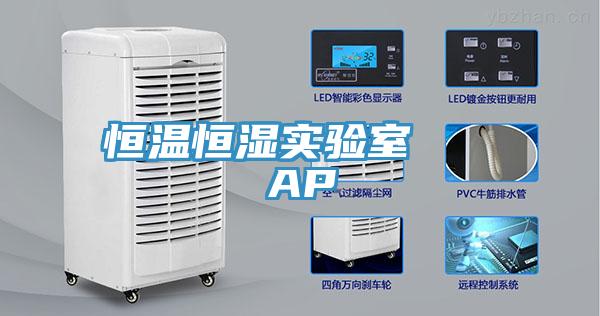 恒溫恒濕實(shí)驗室   AP