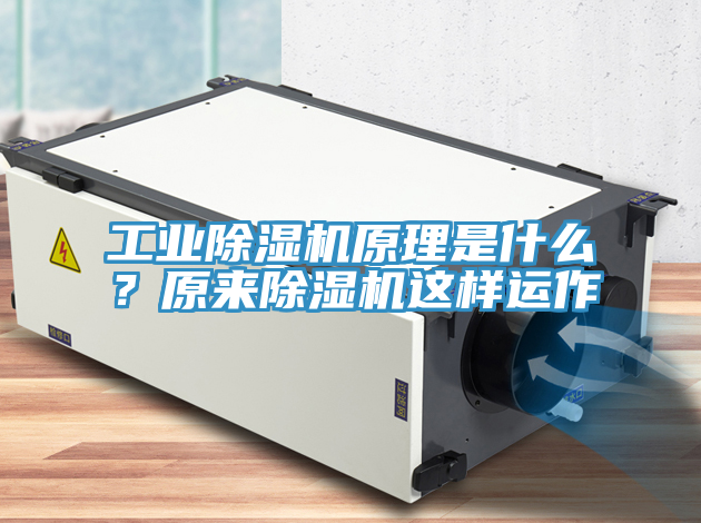 工業(yè)除濕機原理是什么？原來(lái)除濕機這樣運作