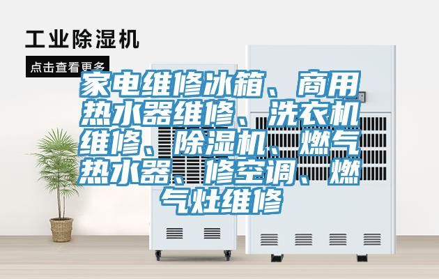 家電維修冰箱、商用熱水器維修、洗衣機維修、除濕機、燃氣熱水器、修空調、燃氣灶維修