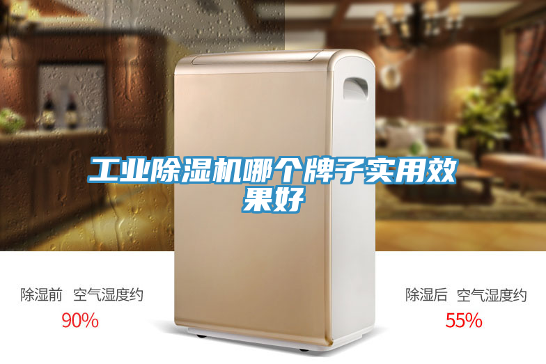 工業(yè)除濕機哪個(gè)牌子實(shí)用效果好