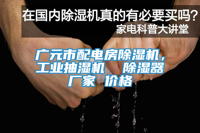 廣元市配電房除濕機，工業(yè)抽濕機  除濕器廠(chǎng)家 價(jià)格
