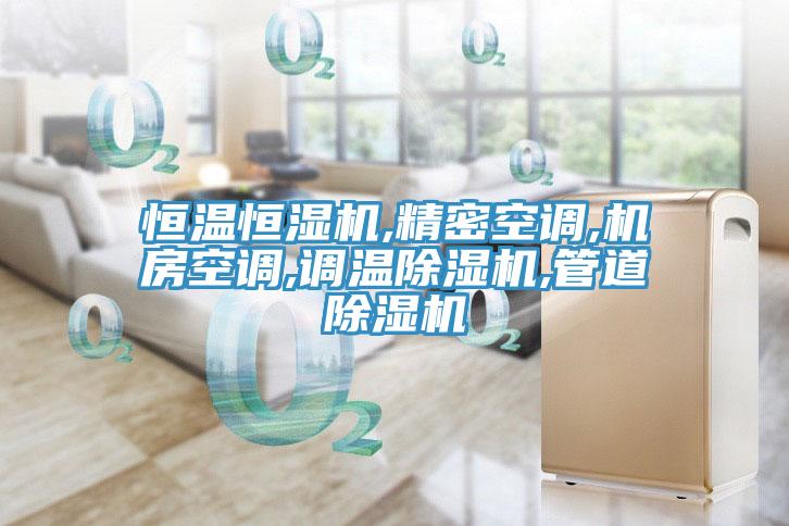 恒溫恒濕機,精密空調,機房空調,調溫除濕機,管道除濕機