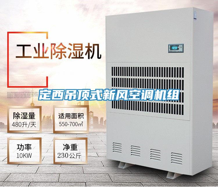定西吊頂式新風(fēng)空調機組