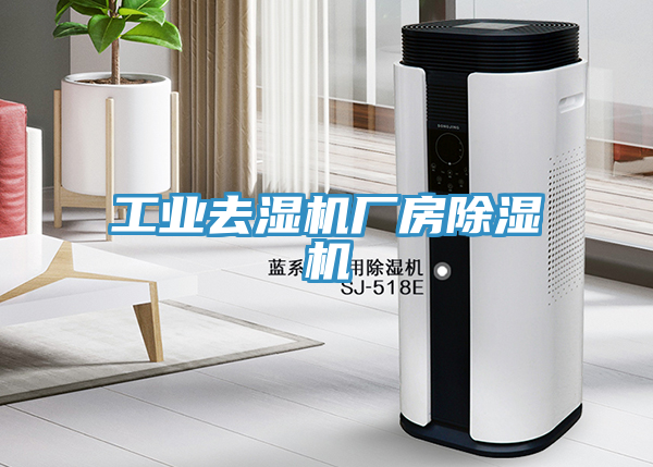 工業(yè)去濕機廠(chǎng)房除濕機