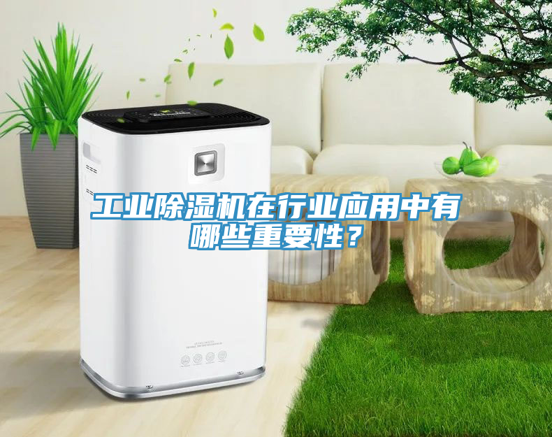 工業(yè)除濕機在行業(yè)應用中有哪些重要性？