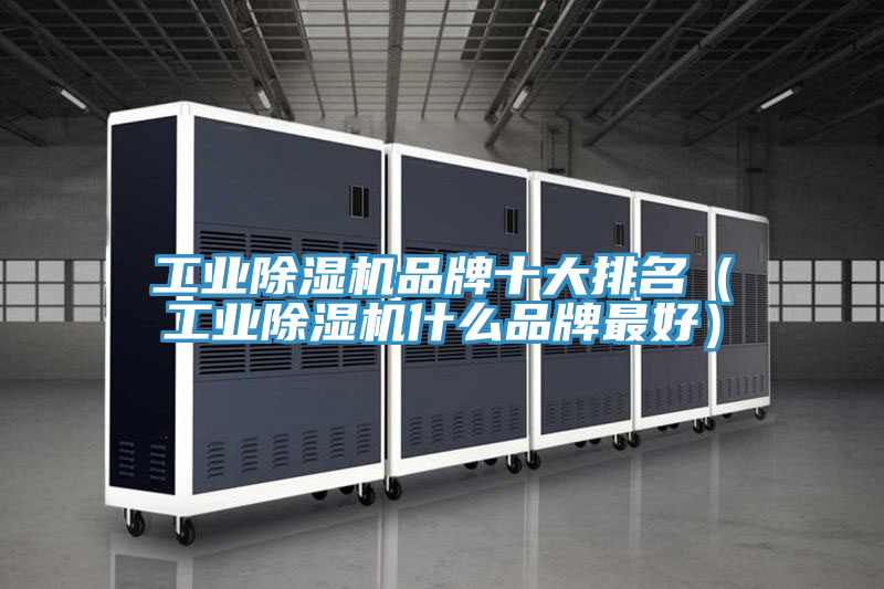工業(yè)除濕機品牌十大排名（工業(yè)除濕機什么品牌最好）