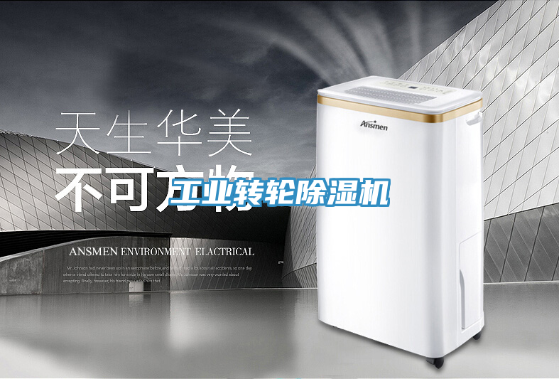 工業(yè)轉輪除濕機