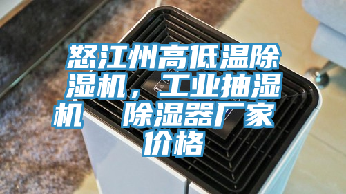 怒江州高低溫除濕機，工業(yè)抽濕機  除濕器廠(chǎng)家 價(jià)格