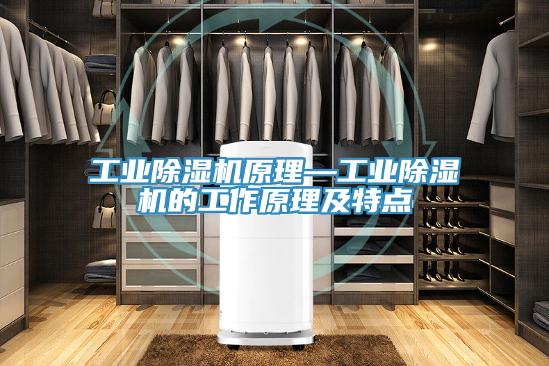 工業(yè)除濕機原理—工業(yè)除濕機的工作原理及特點(diǎn)