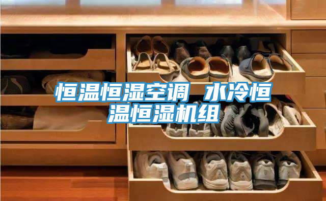 恒溫恒濕空調 水冷恒溫恒濕機組