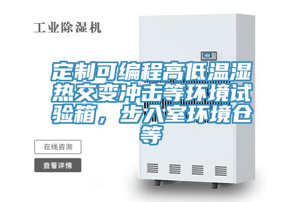 定制可編程高低溫濕熱交變沖擊等環(huán)境試驗箱，步入室環(huán)境倉等