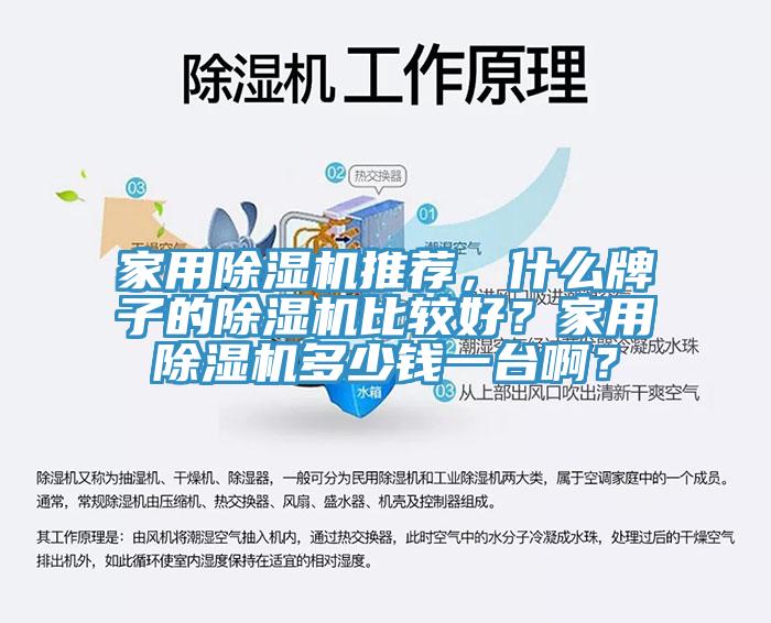 家用除濕機推薦，什么牌子的除濕機比較好？家用除濕機多少錢(qián)一臺??？