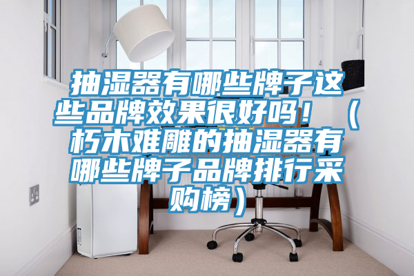 抽濕器有哪些牌子這些品牌效果很好嗎?。ㄐ嗄倦y雕的抽濕器有哪些牌子品牌排行采購榜）