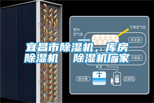 宜昌市除濕機，庫房除濕機  除濕機廠(chǎng)家