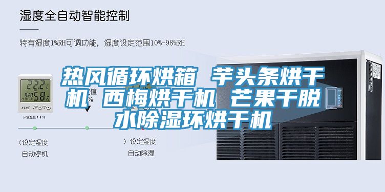 熱風(fēng)循環(huán)烘箱 芋頭條烘干機 西梅烘干機 芒果干脫水除濕環(huán)烘干機