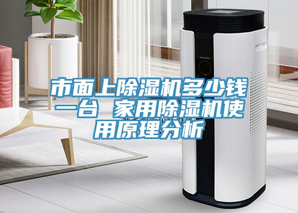 市面上除濕機多少錢(qián)一臺 家用除濕機使用原理分析