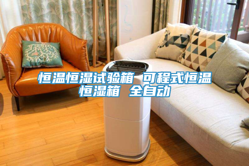 恒溫恒濕試驗箱 可程式恒溫恒濕箱 全自動(dòng)