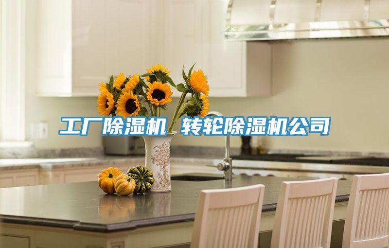 工廠(chǎng)除濕機 轉輪除濕機公司