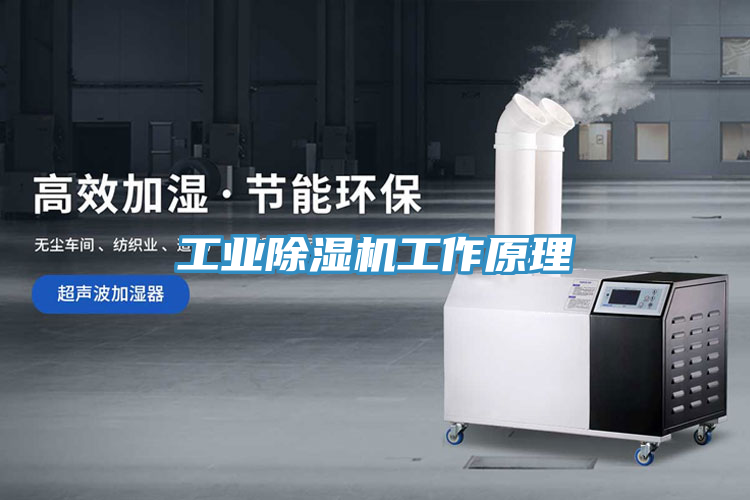 工業(yè)除濕機工作原理