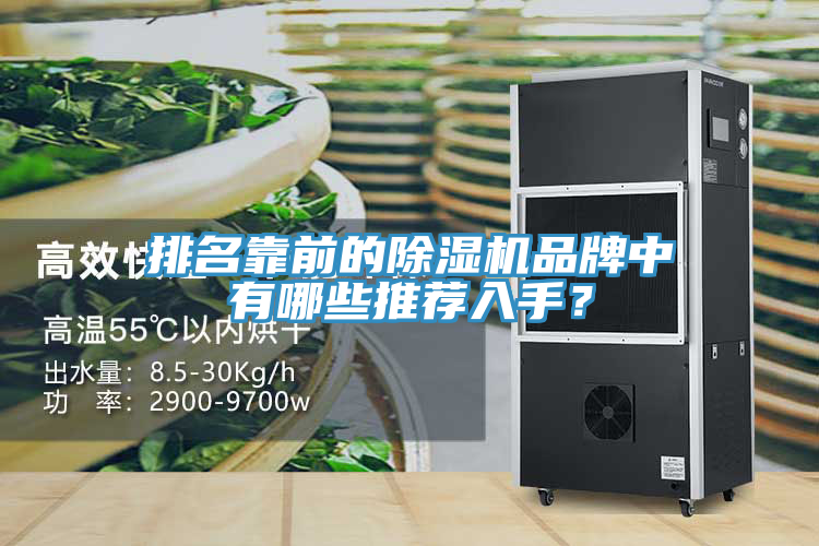 排名靠前的除濕機品牌中有哪些推薦入手？