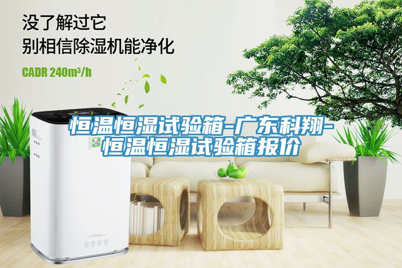 恒溫恒濕試驗箱-廣東科翔-恒溫恒濕試驗箱報價(jià)