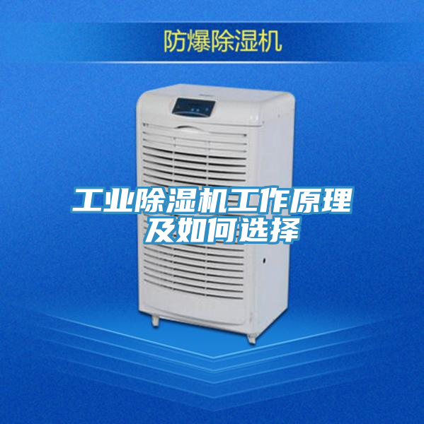 工業(yè)除濕機工作原理 及如何選擇
