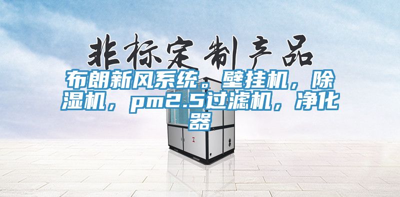 布朗新風(fēng)系統。壁掛機，除濕機，pm2.5過(guò)濾機，凈化器