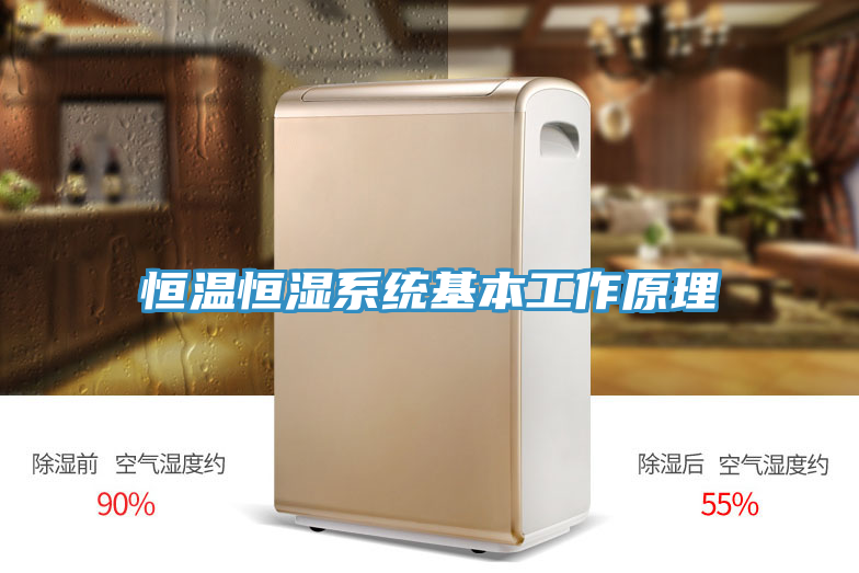 恒溫恒濕系統基本工作原理