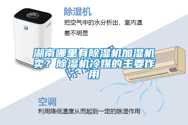 湖南哪里有除濕機加濕機賣(mài)？除濕機冷媒的主要作用