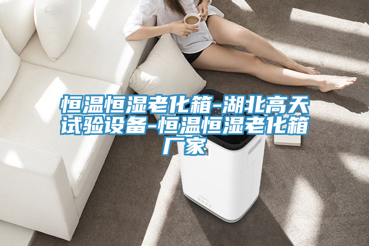 恒溫恒濕老化箱-湖北高天試驗設備-恒溫恒濕老化箱廠(chǎng)家
