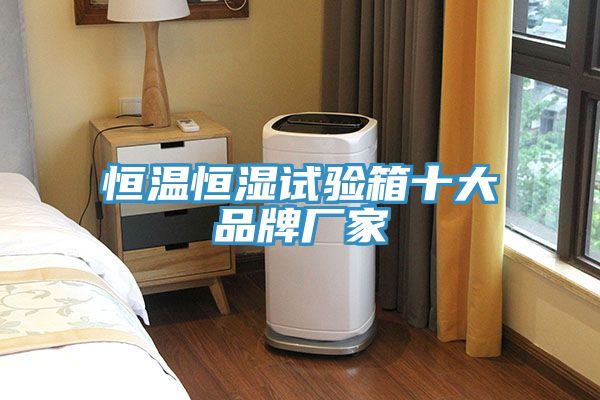恒溫恒濕試驗箱十大品牌廠(chǎng)家
